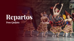 Repartos Don Quijote